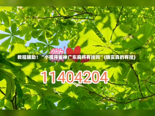 教程辅助！“小程序雀神广东麻将有挂吗”(确实真的有挂)-第2张图片