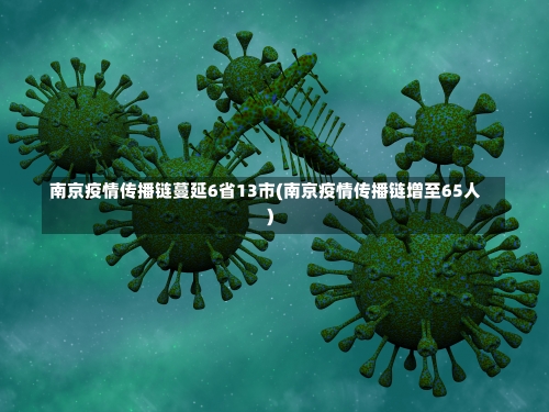 南京疫情传播链蔓延6省13市(南京疫情传播链增至65人)-第3张图片