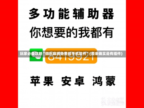 玩家必备攻略“微乐麻将免费挂手机软件”(原来确实是有插件)-第1张图片