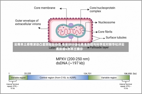 云南本土疫情波动凸显防控复杂性 专家呼吁强化精准防控与科学应对新华社评云南新增6例本土确诊-第2张图片