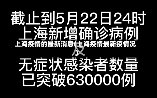 上海疫情的最新消息(上海疫情最新疫情况)-第1张图片