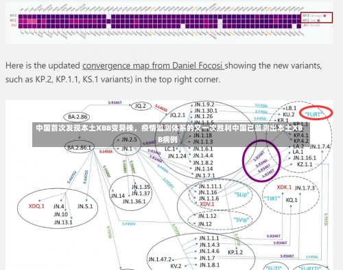 中国首次发现本土XBB变异株，疫情监测体系的又一次胜利中国已监测出本土XBB病例-第3张图片