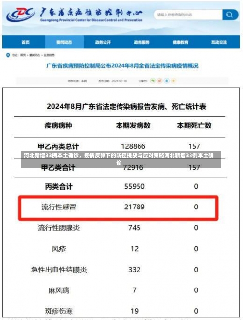 河北新增33例本土确诊，疫情反弹下的防控挑战与应对策略河北新增33例本土确诊-第2张图片