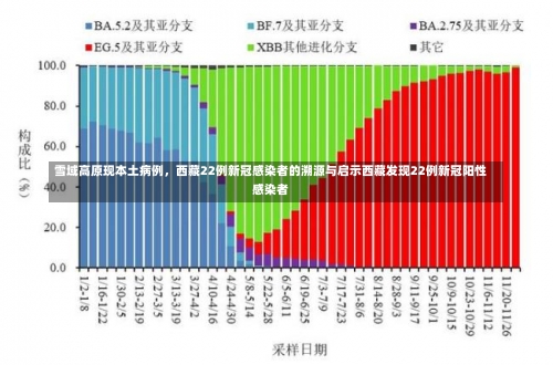 雪域高原现本土病例，西藏22例新冠感染者的溯源与启示西藏发现22例新冠阳性感染者-第3张图片