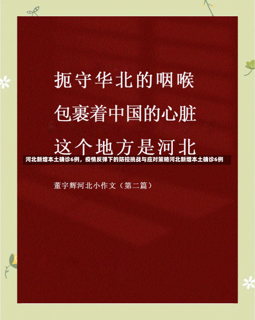 河北新增本土确诊6例，疫情反弹下的防控挑战与应对策略河北新增本土确诊6例-第2张图片