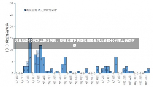 河北新增40例本土确诊病例，疫情反弹下的防控阻击战河北新增40例本土确诊病例-第2张图片