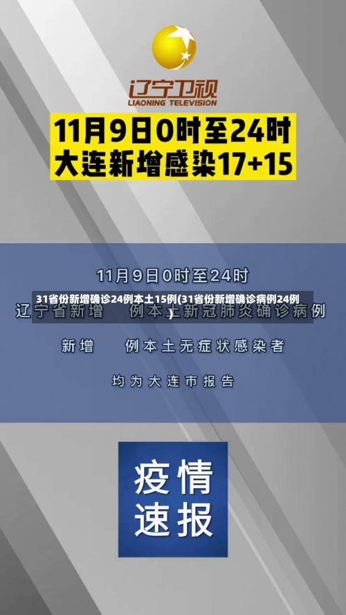 31省份新增确诊24例本土15例(31省份新增确诊病例24例)-第1张图片