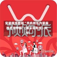 安装程序教程“手机微乐内蒙麻将开挂神器”(确实是有挂)-知乎!-第1张图片