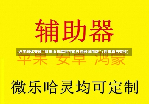 必学教你安装“微乐山东麻将万能开挂器通用版”(原来真的有挂)-第2张图片