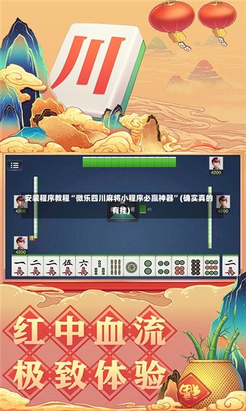 安装程序教程“微乐四川麻将小程序必赢神器”(确实真的有挂)-第2张图片