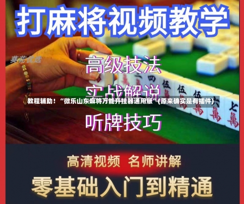 教程辅助！“微乐山东麻将万能开挂器通用版	”(原来确实是有插件)-第1张图片