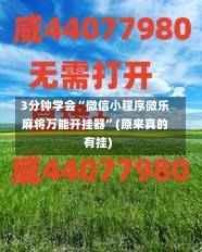 3分钟学会“微信小程序微乐麻将万能开挂器	”(原来真的有挂)-第2张图片