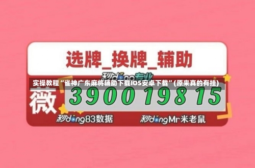 实操教程“雀神广东麻将辅助下载IOS安卓下载”(原来真的有挂)-第3张图片