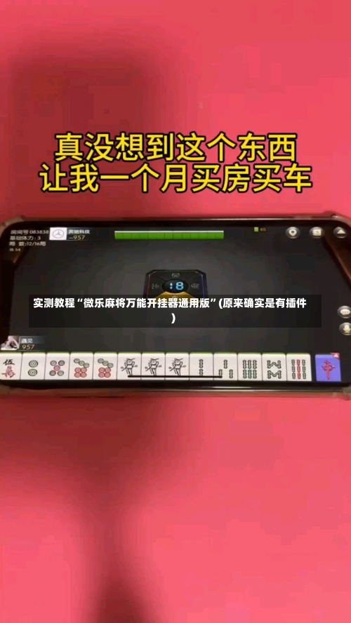 实测教程“微乐麻将万能开挂器通用版”(原来确实是有插件)-第2张图片