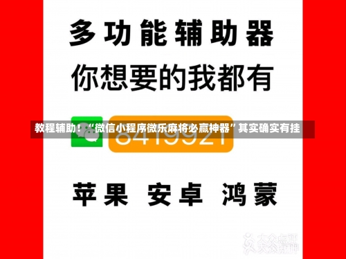 教程辅助！“微信小程序微乐麻将必赢神器”其实确实有挂-第1张图片