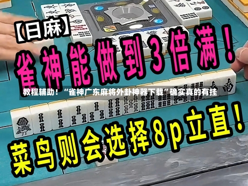 教程辅助！“雀神广东麻将外卦神器下载”确实真的有挂-第3张图片