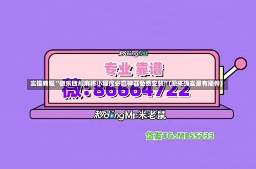 实操教程“微乐四川麻将小程序必赢神器免费安装”(原来确实是有插件)-第3张图片