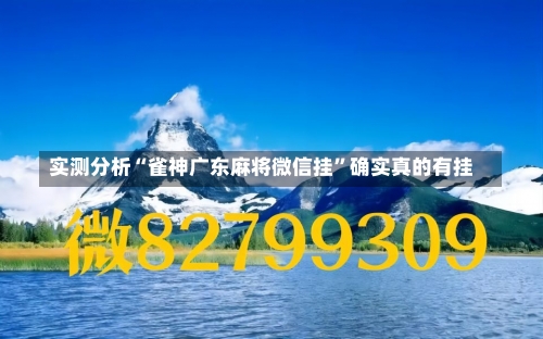 实测分析“雀神广东麻将微信挂	”确实真的有挂-第3张图片