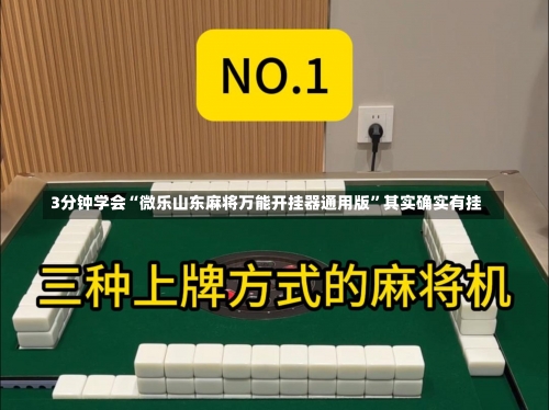 3分钟学会“微乐山东麻将万能开挂器通用版”其实确实有挂-第3张图片