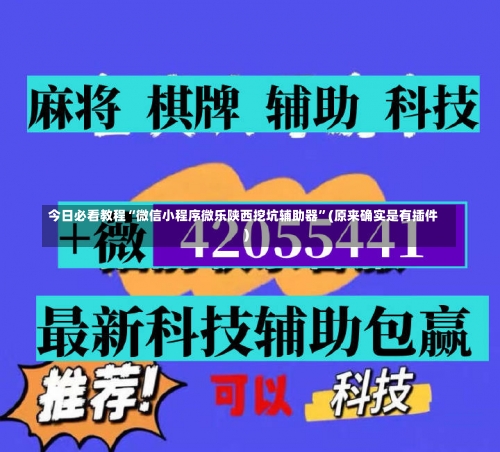 今日必看教程“微信小程序微乐陕西挖坑辅助器”(原来确实是有插件)-第1张图片