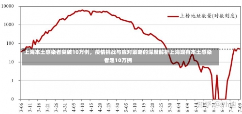 上海本土感染者突破10万例，疫情挑战与应对策略的深度解析上海现有本土感染者超10万例-第1张图片