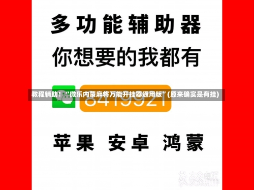 教程辅助！“微乐内蒙麻将万能开挂器通用版	”(原来确实是有挂)-第2张图片