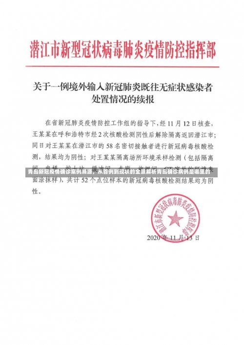 青岛新冠疫情确诊案例溯源，从首例到现状的全景解析青岛确诊病例是哪里的-第1张图片