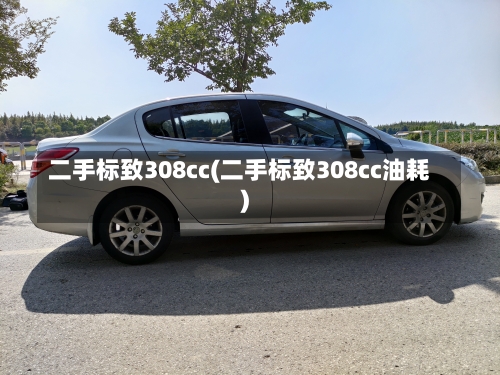 二手标致308cc(二手标致308cc油耗)-第1张图片