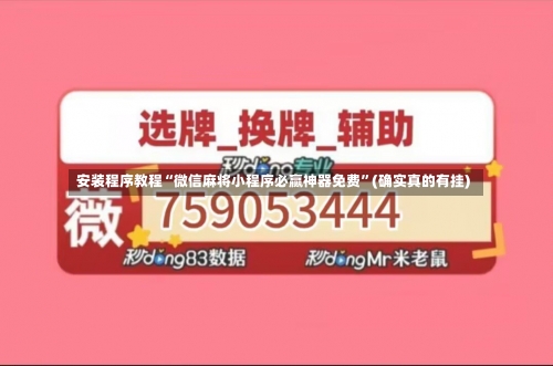 安装程序教程“微信麻将小程序必赢神器免费”(确实真的有挂)-第1张图片