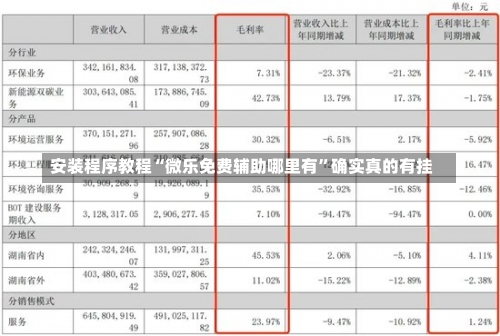 安装程序教程“微乐免费辅助哪里有”确实真的有挂-第3张图片