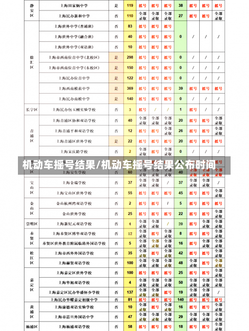 机动车摇号结果/机动车摇号结果公布时间-第2张图片