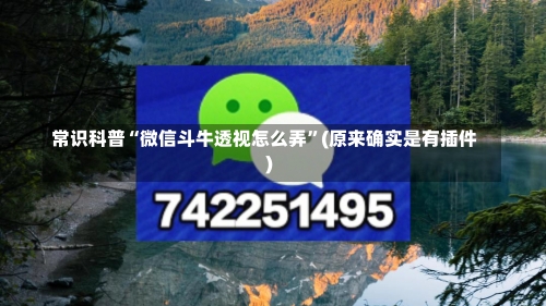 常识科普“微信斗牛透视怎么弄”(原来确实是有插件)-第3张图片