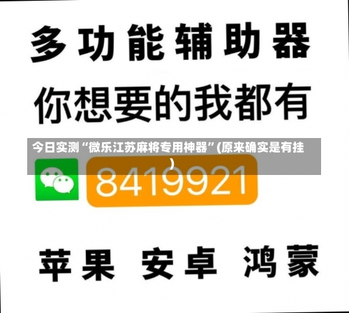 今日实测“微乐江苏麻将专用神器”(原来确实是有挂)-第3张图片