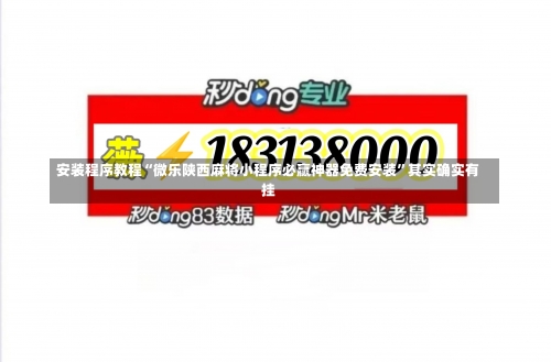 安装程序教程“微乐陕西麻将小程序必赢神器免费安装”其实确实有挂-第2张图片