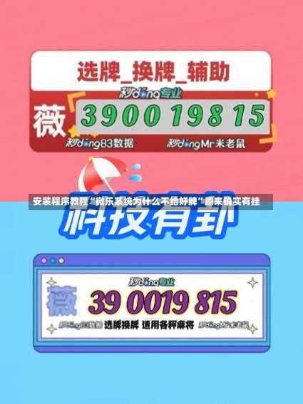 安装程序教程“微乐系统为什么不给好牌	”原来确实有挂-第1张图片