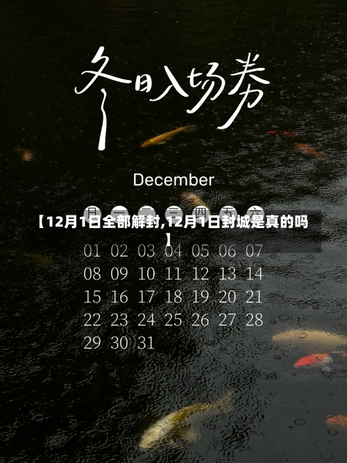 【12月1日全部解封,12月1日封城是真的吗】-第2张图片