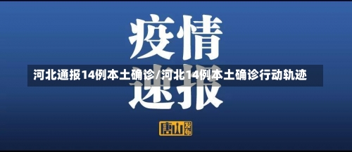 河北通报14例本土确诊/河北14例本土确诊行动轨迹-第2张图片