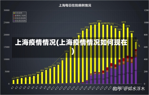 上海疫情情况(上海疫情情况如何现在)-第1张图片