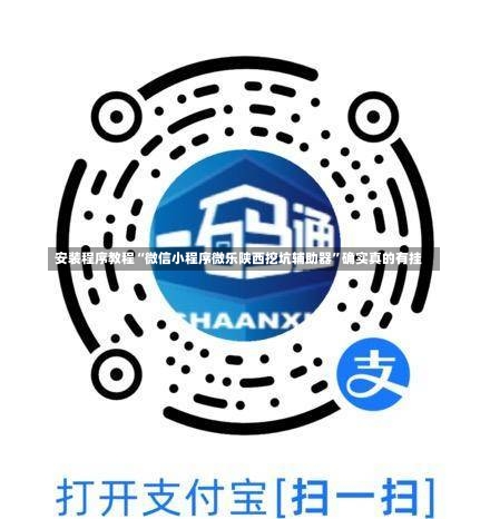 安装程序教程“微信小程序微乐陕西挖坑辅助器	”确实真的有挂-第2张图片