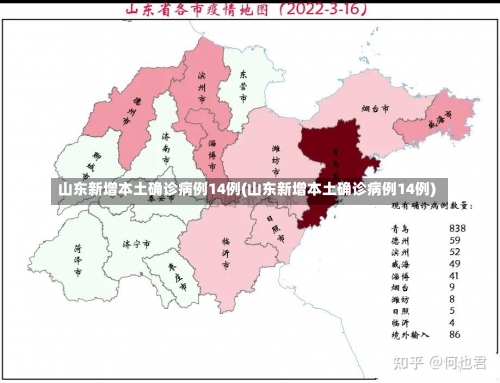 山东新增本土确诊病例14例(山东新增本土确诊病例14例)-第3张图片