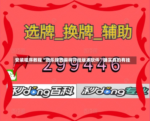 安装程序教程“微乐陕西麻将开挂版本软件”确实真的有挂-第3张图片