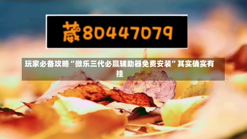 玩家必备攻略“微乐三代必赢辅助器免费安装”其实确实有挂-第1张图片