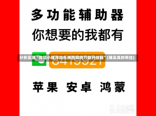 分析实测“微信小程序微乐陕西麻将万能开挂器	”(确实真的有挂)-第2张图片