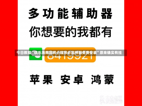 今日教程“微乐海南麻将小程序必赢神器免费安装”原来确实有挂-第1张图片