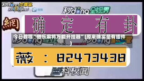 今日教程“微乐麻将万能开挂器”(原来确实是有插件)-第1张图片