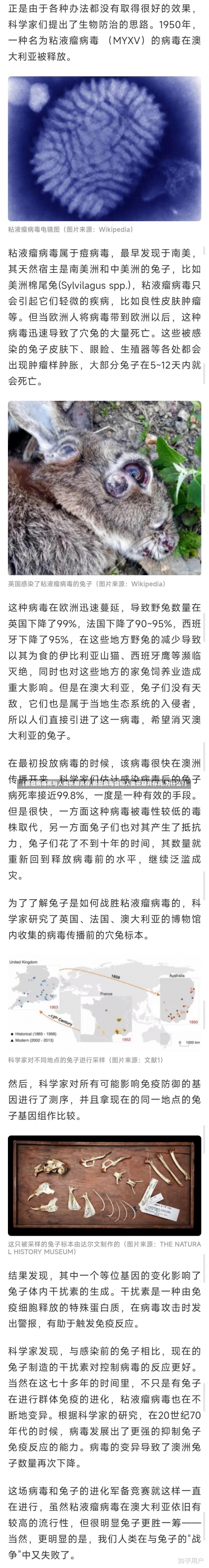 【新冠病毒将与人类长期共存,新冠病毒会和人类长期共存吗,为什么?】-第1张图片