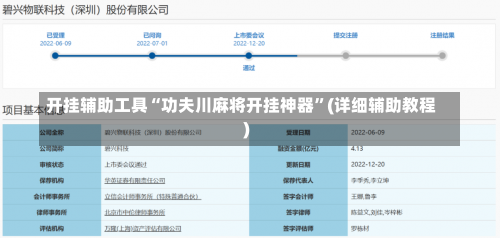 开挂辅助工具“功夫川麻将开挂神器”(详细辅助教程)-第3张图片