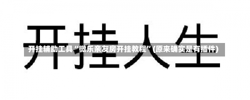 开挂辅助工具“微乐亲友房开挂教程	”(原来确实是有插件)-第1张图片