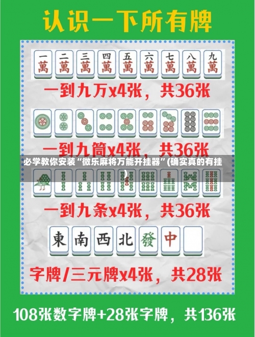 必学教你安装“微乐麻将万能开挂器”(确实真的有挂)-第3张图片