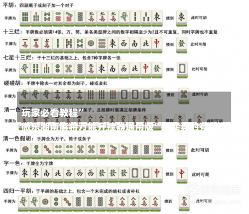 
玩家必看教程	”
微乐湖南麻将万能开挂器通用版”确实真的有挂-第3张图片